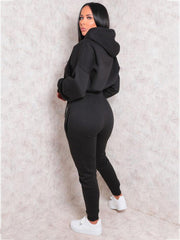 2 Piece Long Sleeve Hooded Crop Tops+Pants Sets